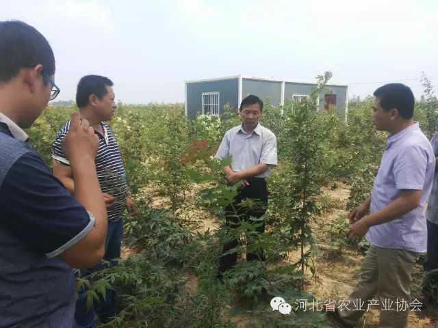 孫悅明會(huì)長等協(xié)會(huì)領(lǐng)導(dǎo)到安平縣會(huì)員單位調(diào)研， 取得良好效果