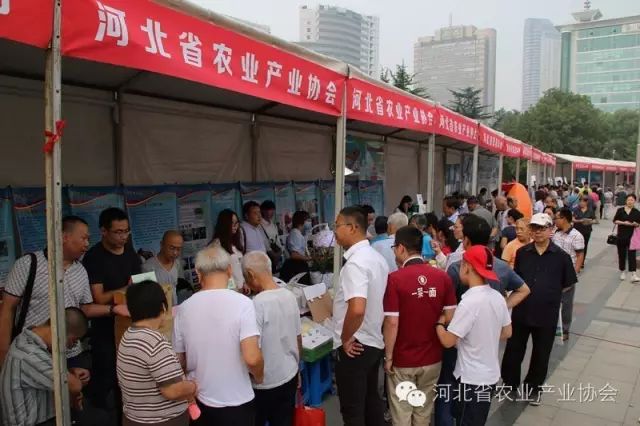省農(nóng)業(yè)產(chǎn)業(yè)協(xié)會(huì)組織會(huì)員參加 “2016年全國科普日河北省主場活動(dòng)”，受到歡迎