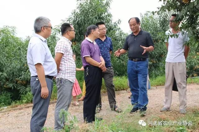 協(xié)會組織媒體記者赴常務(wù)理事單位行唐縣新農(nóng)生態(tài)農(nóng)業(yè)開發(fā)有限公司參觀、交流