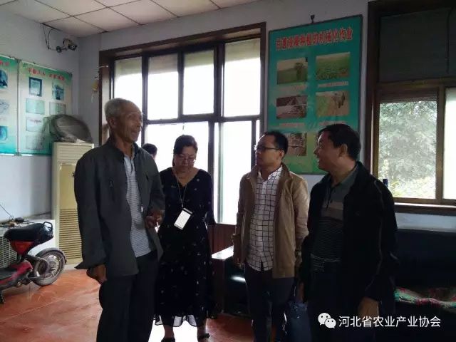 孫悅明會長等領(lǐng)導(dǎo)赴晉州聽取薯業(yè)專委工作匯報， 并進(jìn)行調(diào)研