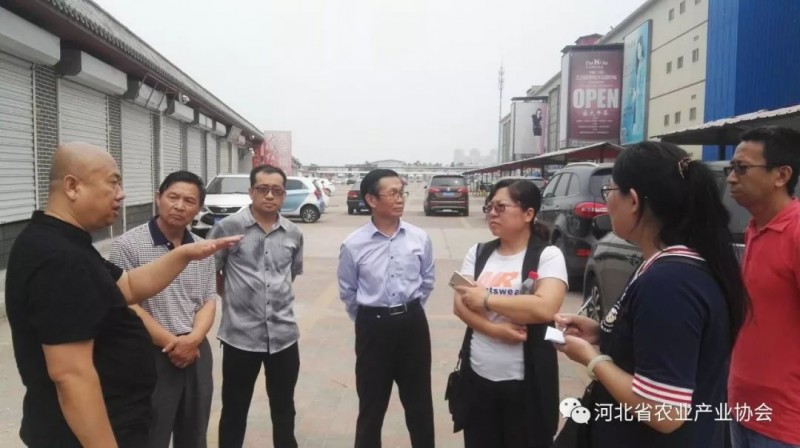 孫悅明會(huì)長帶隊(duì)赴天津、白溝等地進(jìn)行市場(chǎng)考察
