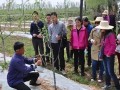 蘋果拉枝有技巧，這些竅門要記牢！不懂別亂拉！