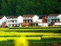 農(nóng)村宅基地20問(wèn)，每一問(wèn)都和你有關(guān)