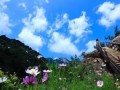 河北要建100個旅游特色小鎮(zhèn)，有你家鄉(xiāng)嗎？