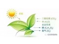 作物長不好，90%都是缺碳造成的，不信你看！
