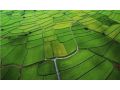 高標(biāo)準(zhǔn)農(nóng)田建設(shè)是啥？居然能讓收入翻倍！