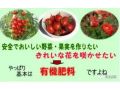 從農(nóng)藥減量到有機(jī)農(nóng)業(yè)，日本比我們領(lǐng)先至少半個(gè)世紀(jì)