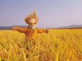 這15項(xiàng)補(bǔ)貼即將截止，錯(cuò)過(guò)就要再等一年了！