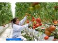 @農(nóng)民朋友，想增收致富嗎？高素質(zhì)農(nóng)民培養(yǎng)來了！