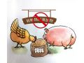 飼料“禁抗”新政出臺，行業(yè)準(zhǔn)備好了嗎？