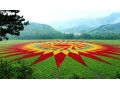做大做強(qiáng)！我省將重點(diǎn)抓好這7大類(lèi)24種農(nóng)業(yè)優(yōu)勢(shì)特色產(chǎn)業(yè)