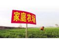 家庭農(nóng)場(chǎng)多大規(guī)模才合適？