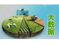 為什么要發(fā)展農(nóng)業(yè)大數(shù)據(jù)？