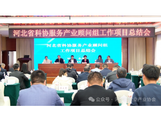 協(xié)會成功組織承辦國家產業(yè)顧問組工作項目總結會